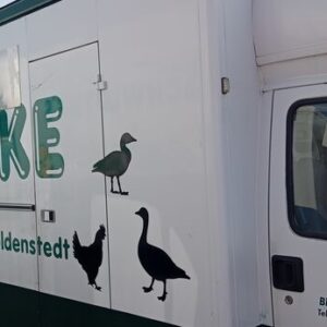 FIAT Ducato Borco Hoehns